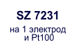 SZ 7231   1    Pt100